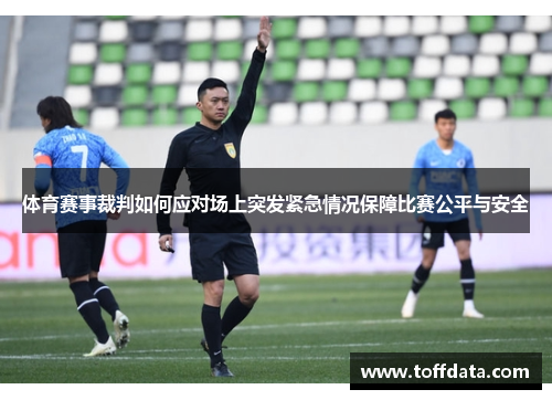 体育赛事裁判如何应对场上突发紧急情况保障比赛公平与安全