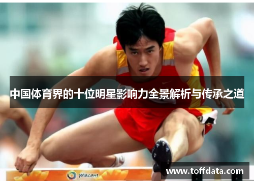 中国体育界的十位明星影响力全景解析与传承之道