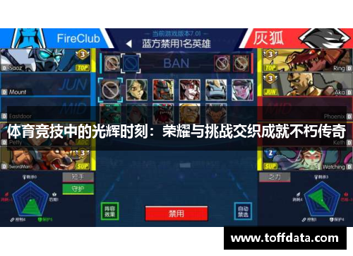 体育竞技中的光辉时刻：荣耀与挑战交织成就不朽传奇