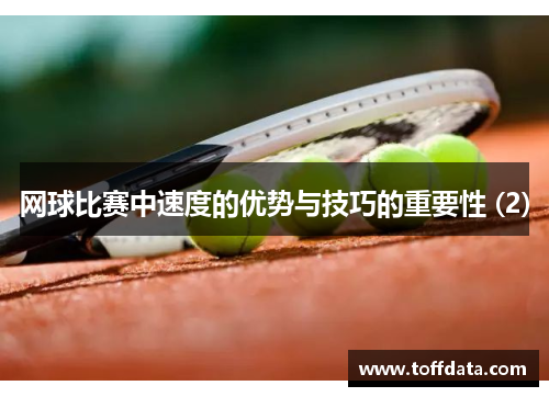 网球比赛中速度的优势与技巧的重要性 (2)